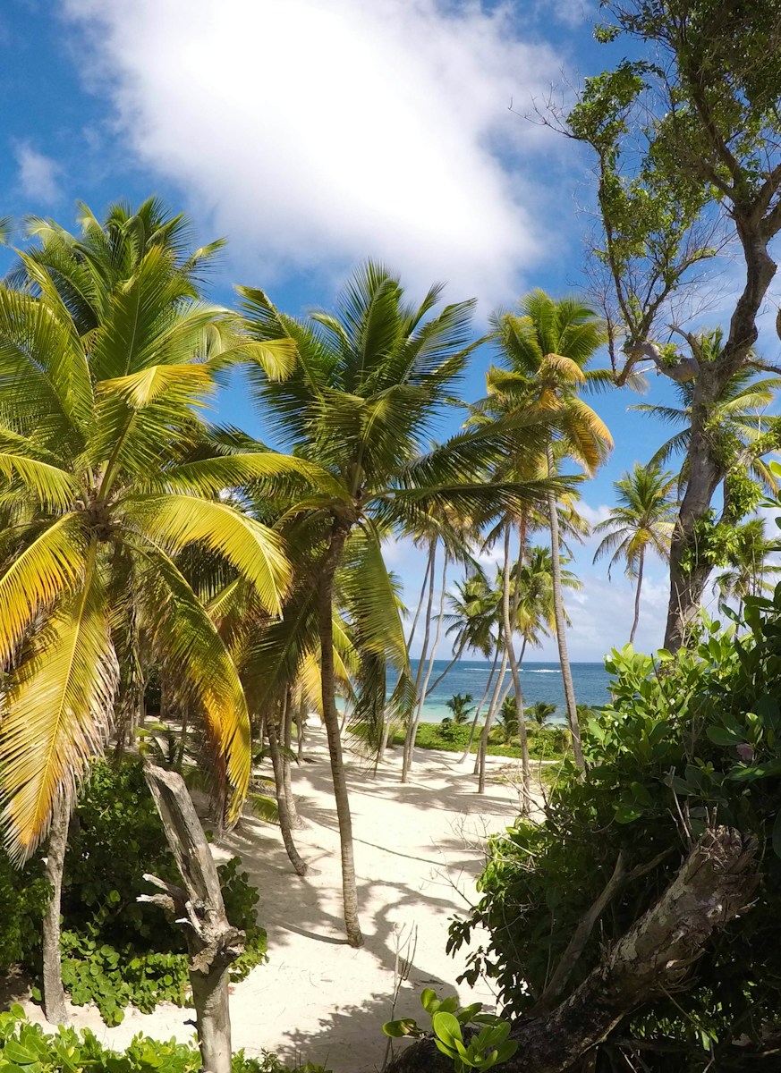 Choisissez votre destination