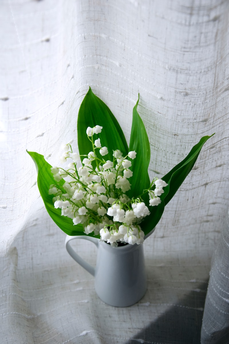 Origine du 1er mai et du muguet