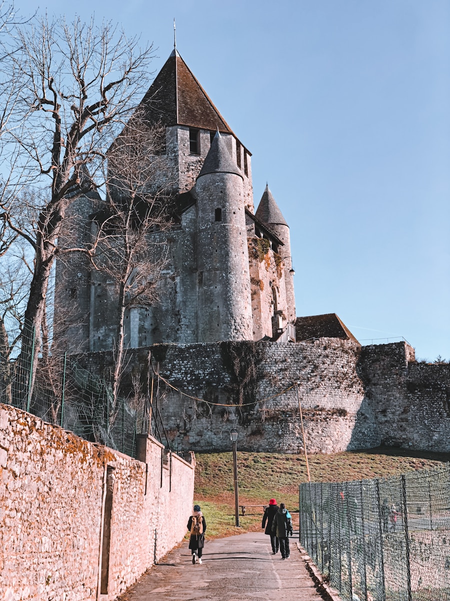 Fête médiévale de Provins